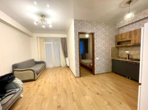 2 rooms apartment in tbilisi close to airport
